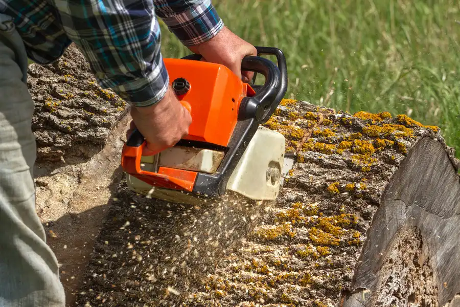 Affordable Tree Service